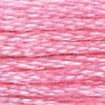 Embroidery Floss - 604 Needlework DMC