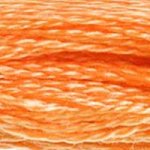 Embroidery Floss - 722