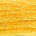 Embroidery Floss - 725 Needlework DMC