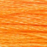 Embroidery Floss - 741