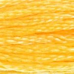 Embroidery Floss - 743
