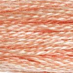 Embroidery Floss - 754