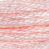 Embroidery Floss - 818 Needlework DMC