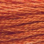 Embroidery Floss - 921