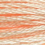 Embroidery Floss - 951