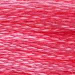 Embroidery Floss - 956