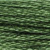 Embroidery Floss - 987 Needlework DMC