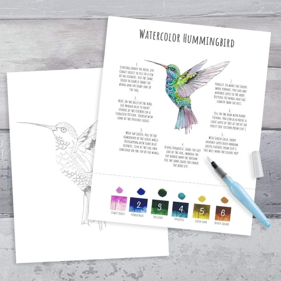 DIY Watercolor Kit - Hummingbird