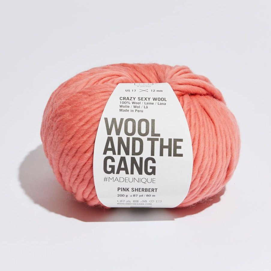 Wool and the Gang Crazy Sexy Wool – Brooklyn Craft Company