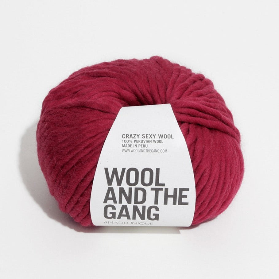 Wool and the Gang Crazy Sexy Wool