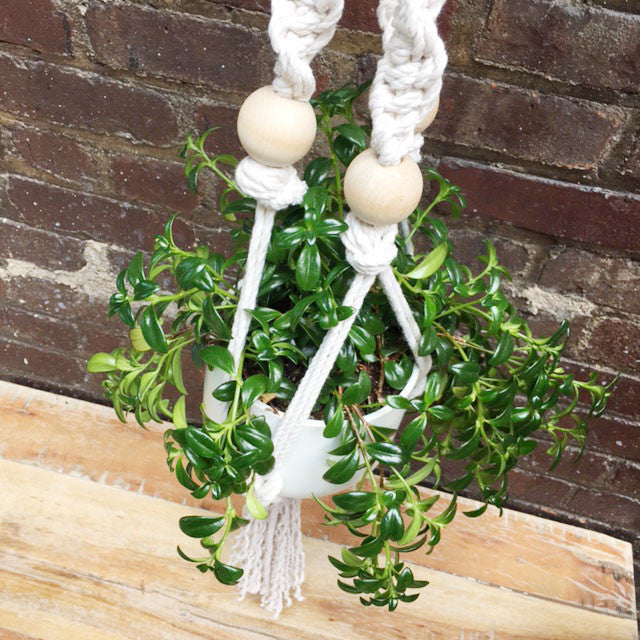 crafty ginger macrame plant hanger Macramé Plant Hanger – Brooklyn Craft Company