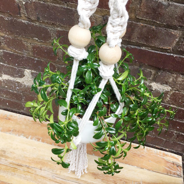 Macramé Plant Hanger