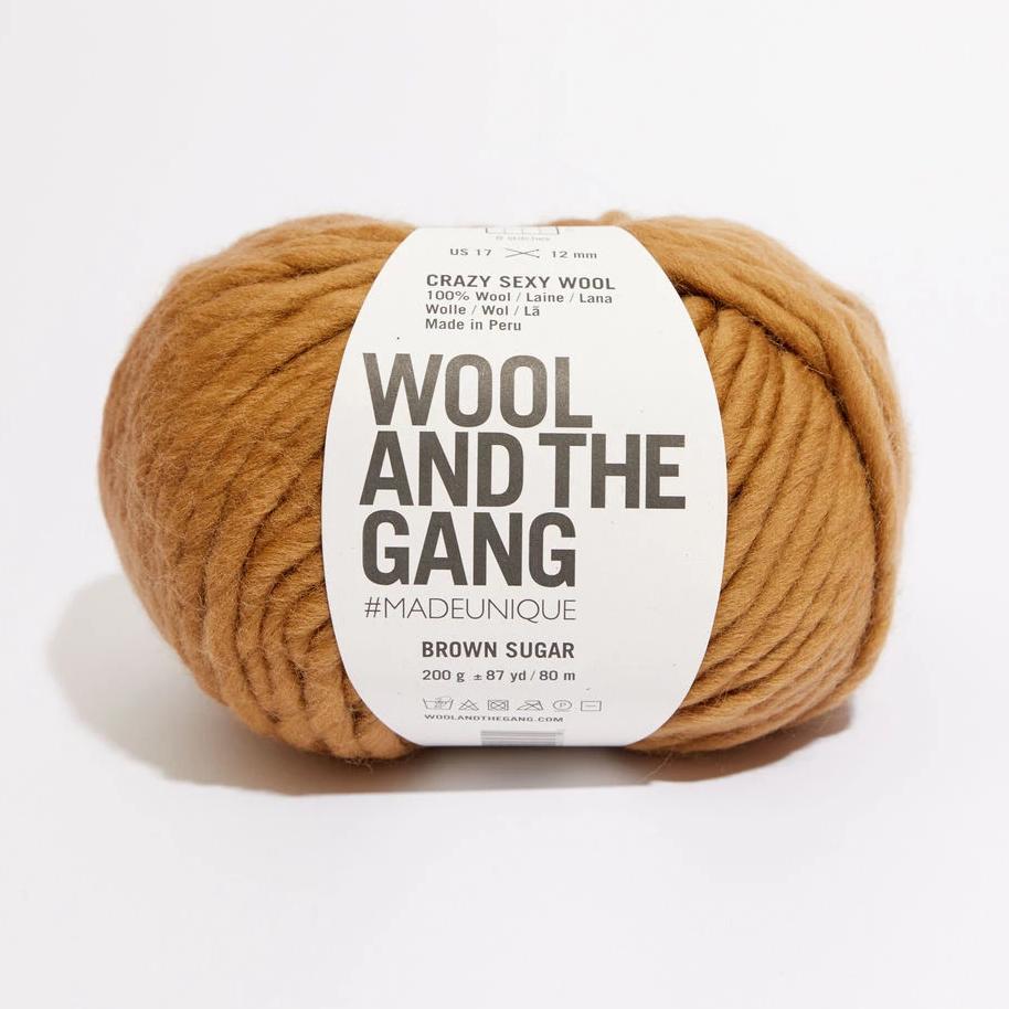 Wool and the Gang Crazy Sexy Wool