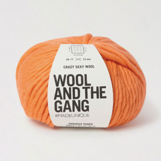 Wool and the Gang Crazy Sexy Wool