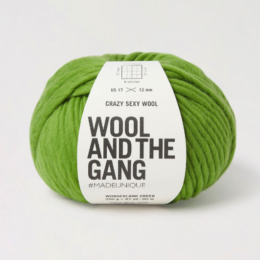 Wool and the Gang Crazy Sexy Wool