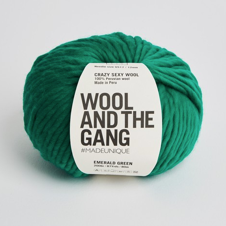 Wool and the Gang Crazy Sexy Wool – Brooklyn Craft Company Wool and the Gang Crazy Sexy Wool – Brooklyn Craft Company