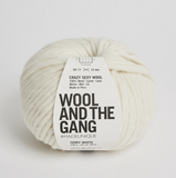 Wool and the Gang Crazy Sexy Wool