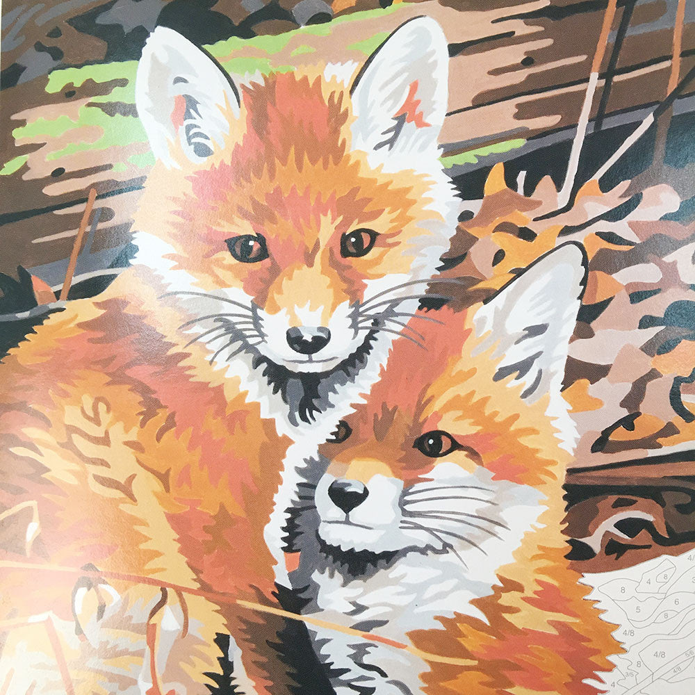Fox Hole Paint By Number