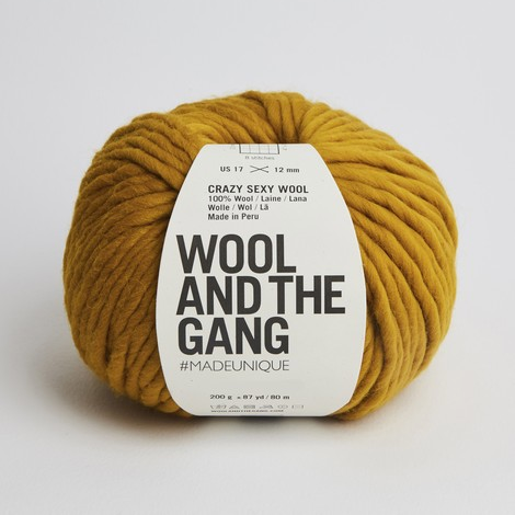 Wool and the Gang Crazy Sexy Wool